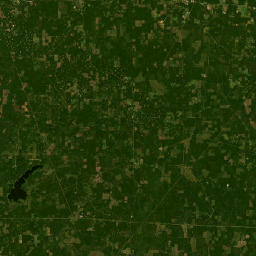 Par Road 300, Gibsland, LA 71028, USA Satellite Map