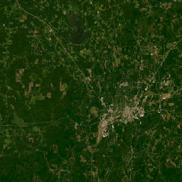 10328 Center Hill Martin Road, Meridian, MS Satellite Map