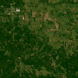 411 Cahaba Avenue West, Linden, AL Satellite Map