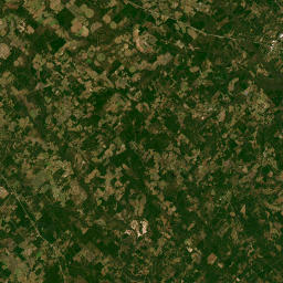 Montrose, GA 31065, USA Satellite Map