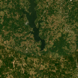 County Road 3607, Brownsboro, TX 75756 Satellite Map