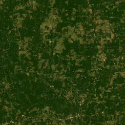 Unnamed Road, Logansport, LA 71049 Satellite Map