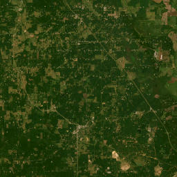 332-424 LA-509 Mansfield LA 71052 Satellite Map