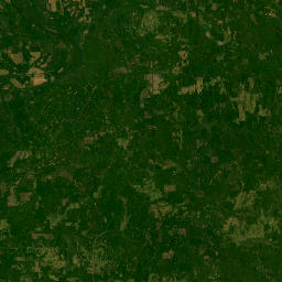 2951 Creampot Road, Forest Home, AL Satellite Map