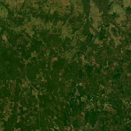 Highway 6, Fitzpatrick, AL 36029, USA Satellite Map