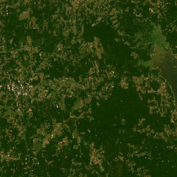 Farm-to-Market 139, Sabine National Forest Satellite Map