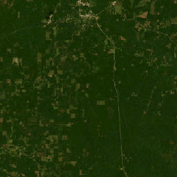 U.S. 84, Kisatchie National Forest, Winnfield Satellite Map