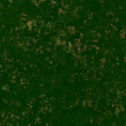 882 Harrels Road, Coy, AL 36435, USA Satellite Map