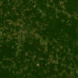 Farm to Market 3451, San Augustine, TX Satellite Map