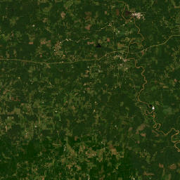 367-449 Arm Rd, Silver Creek, MS 39663, map(satellite map)