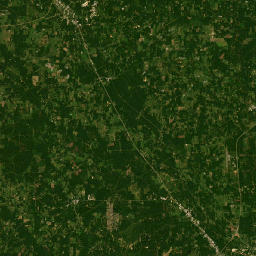 1-15 Firetower Road, Collins, MS 39428 Satellite Map