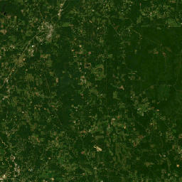 339-371 Corinth Church Road, Petal, MS Satellite Map