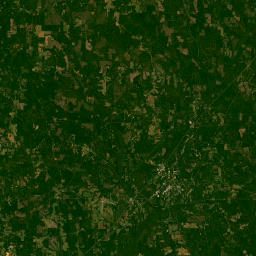 Conecuh County 20, Repton, AL 36475 Satellite Map