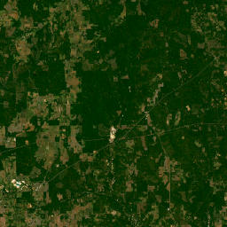 Alabama 21, Atmore, AL 36502, USA Satellite Map