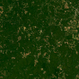 Conecuh County 6, Evergreen, AL 36401 Satellite Map