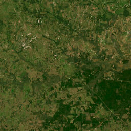 Ronald Reagan Highway, Huntsville, TX  Satellite Map