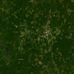 County Road 239, Jasper, TX 75951, USA Satellite Map