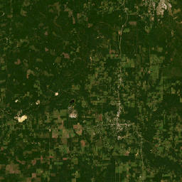 Highway 111, Evans, LA 70639, USA Satellite Map