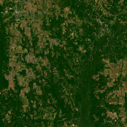 7126-7950 County Road 97A, McDavid, FL Satellite Map