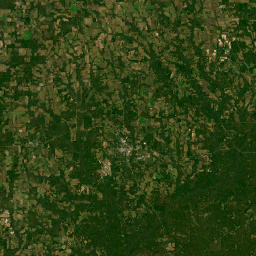 591-595 Mills Road, Whigham, GA  Satellite Map