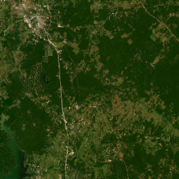 Texas 150, New Waverly, TX 77358, America Satellite Map