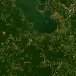 525 Texas 156, Sam Houston National Forest Satellite Map