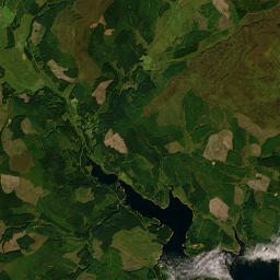 Forest Drive, Hexham, Northumberland NE48 Satellite Map