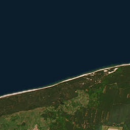 Satelita