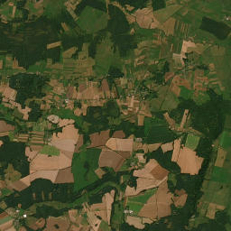 Satelita
