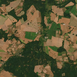 Satelita