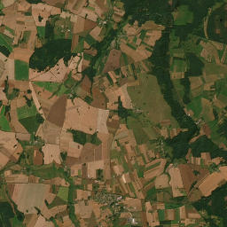 Satelita