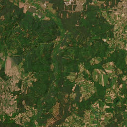 Satelita