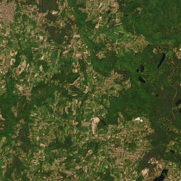 Satelita
