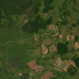 Satelita