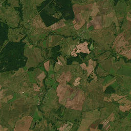 Satelita
