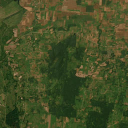 Satelita