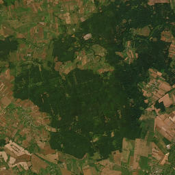 Satelita