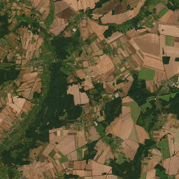 Satelita