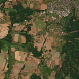 Satelita