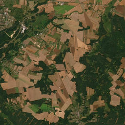 Satelita