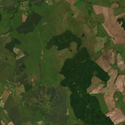 Satelita