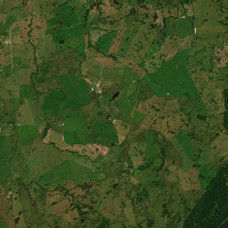 Satelita