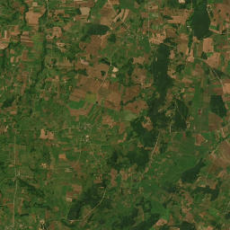 Satelita