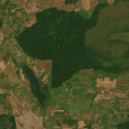 Satelita