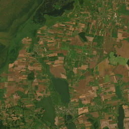 Satelita