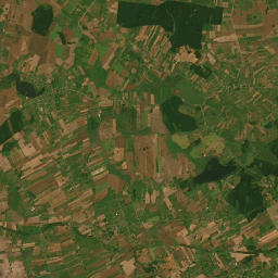 Satelita