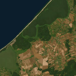 Satelita