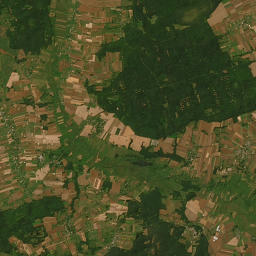 Satelita