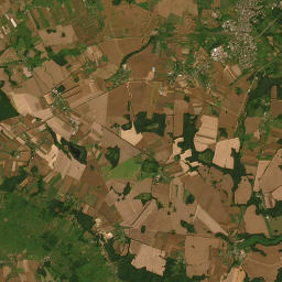 Satelita