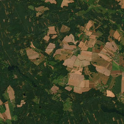 Satelita